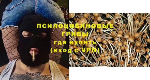 скорость Алзамай